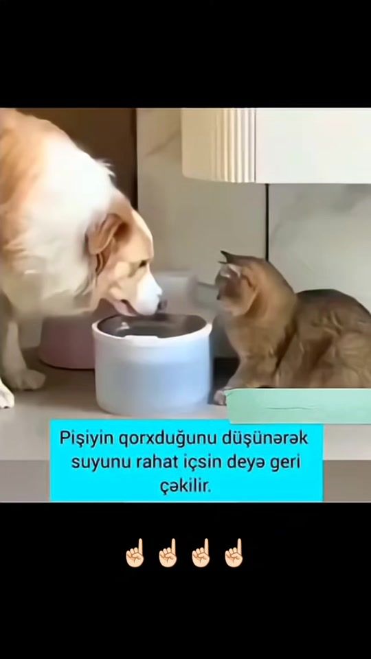 TikTok video thumbnail by gunel____111