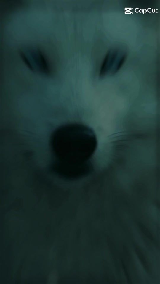 TikTok video thumbnail by black.3065