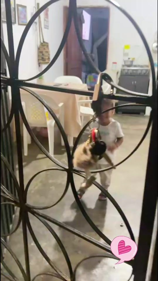 TikTok video thumbnail by elflacobecerra