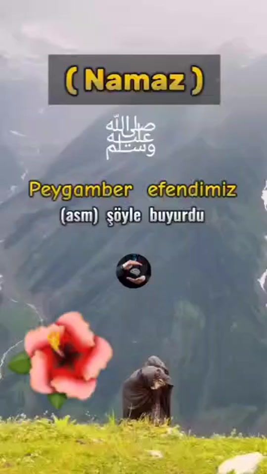 TikTok video thumbnail by dalya65590