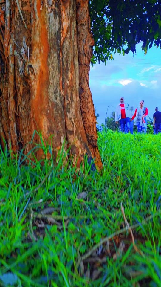 TikTok video thumbnail by bishop_ben_jcm_kenya