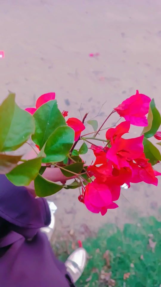 TikTok video thumbnail by em.mjood
