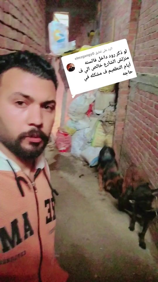 TikTok video thumbnail by abo.mahak