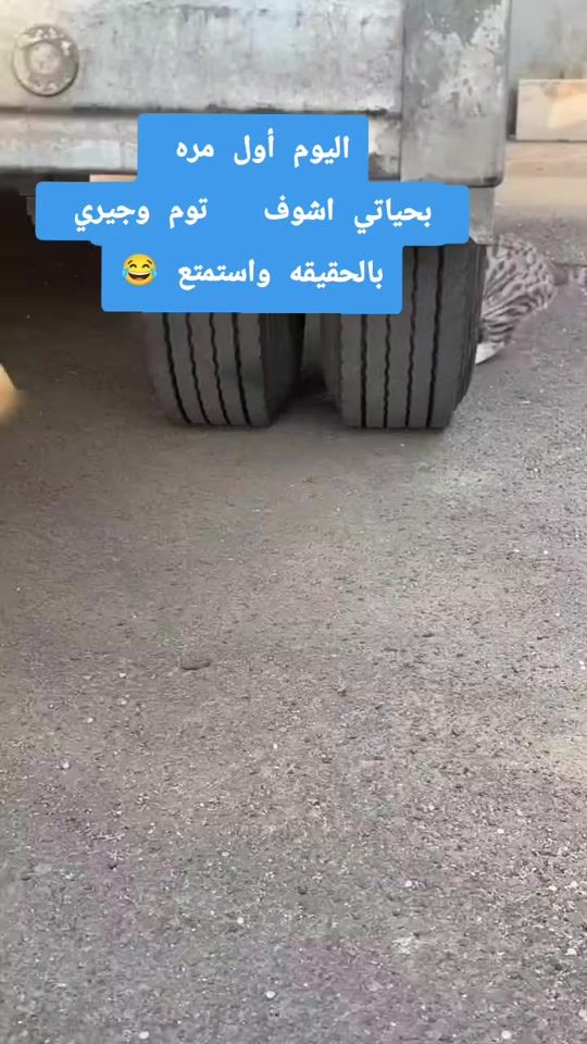 TikTok video thumbnail by _1palstain