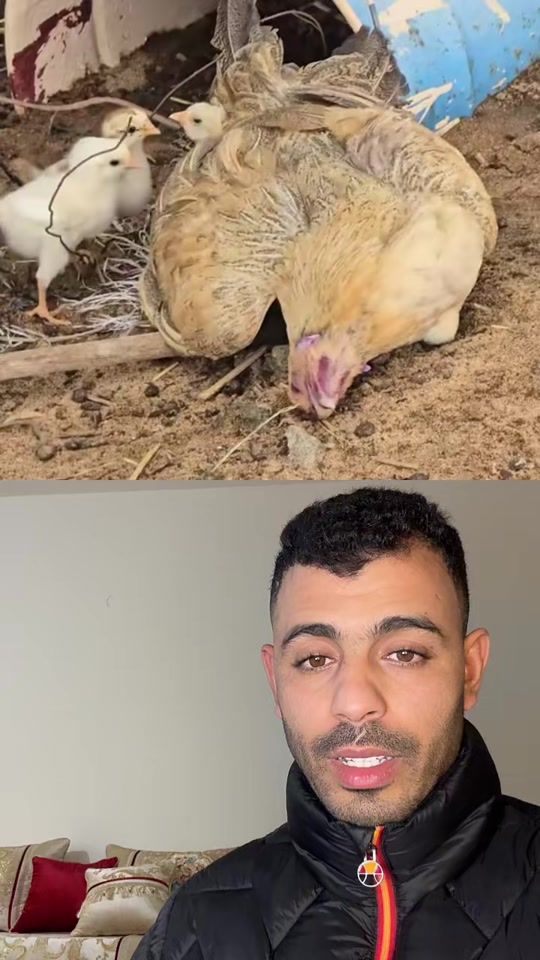TikTok video thumbnail by yassinaw00