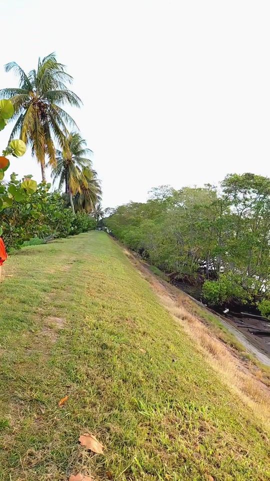 TikTok video thumbnail by suraysha_19