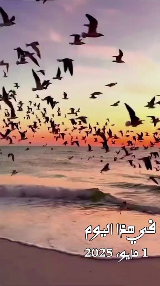 TikTok video thumbnail by .son.of.libya