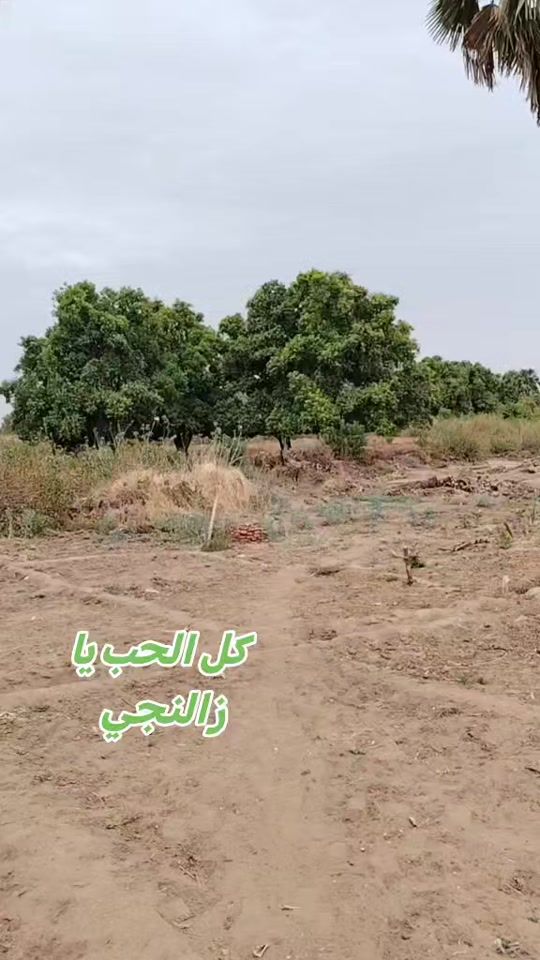 TikTok video thumbnail by user6410894902661