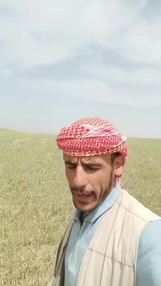 TikTok video thumbnail by lqxpzm