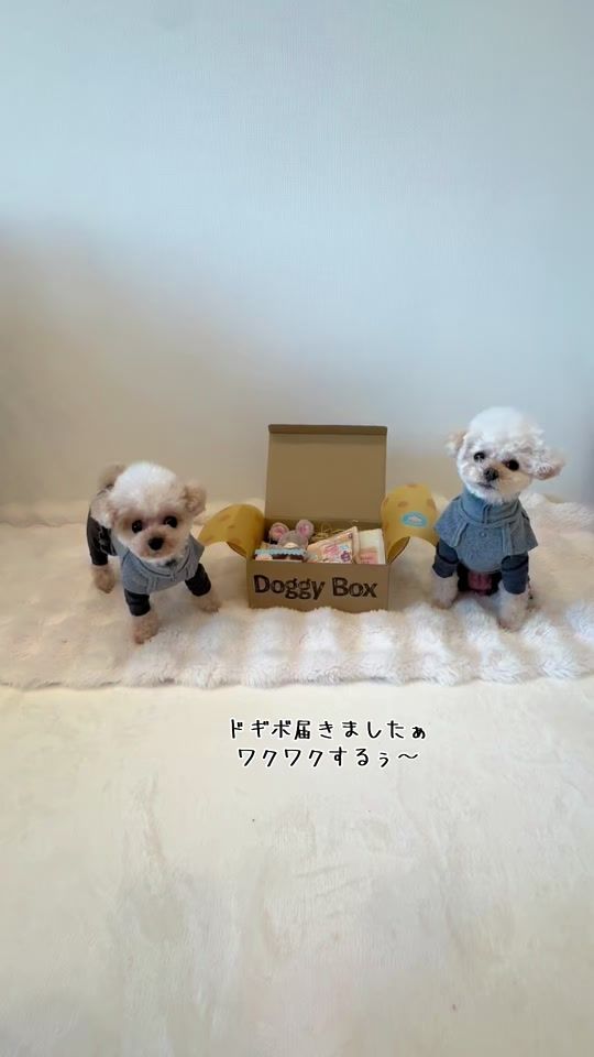 TikTok video thumbnail by mona2018.11.25