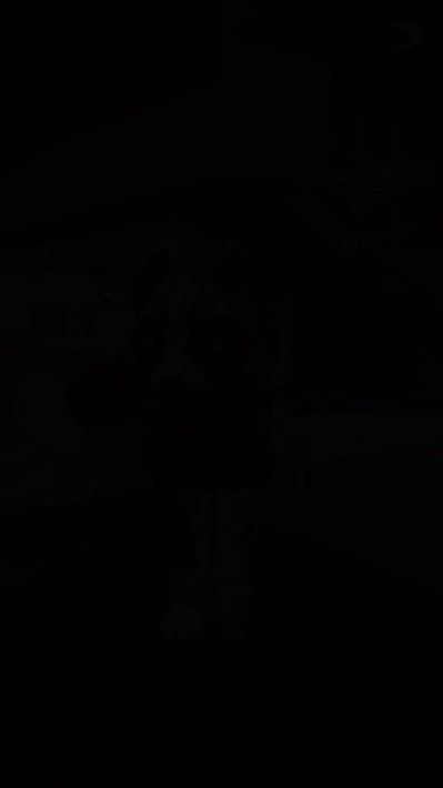 TikTok video thumbnail by _kitcatkit