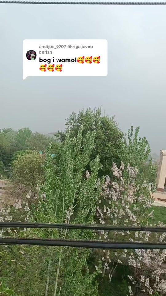 TikTok video thumbnail by baxor_lolasi