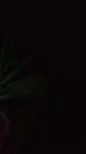 TikTok video thumbnail by jiwoofied