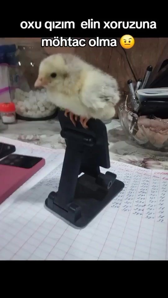 TikTok video thumbnail by ilayda.2025