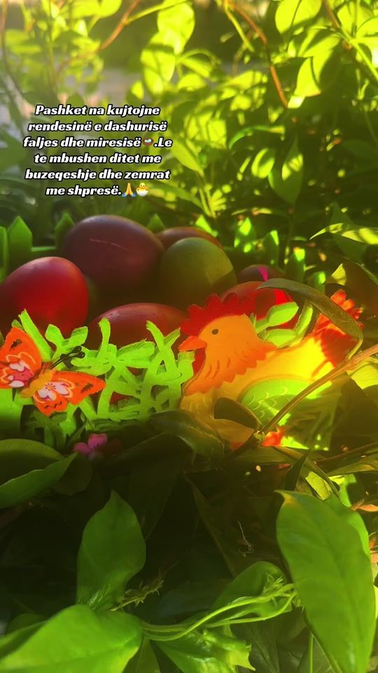 TikTok video thumbnail by agroturizem_te_toka