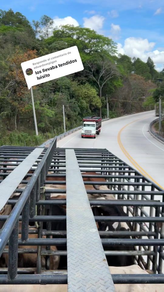 TikTok video thumbnail by luiscruzfl70