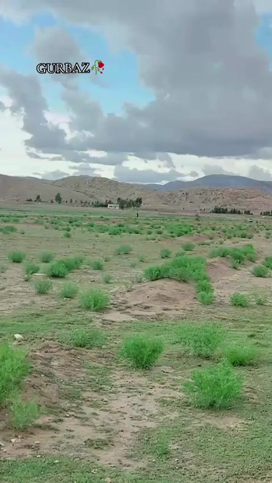 TikTok video thumbnail by saidullahgarbaz