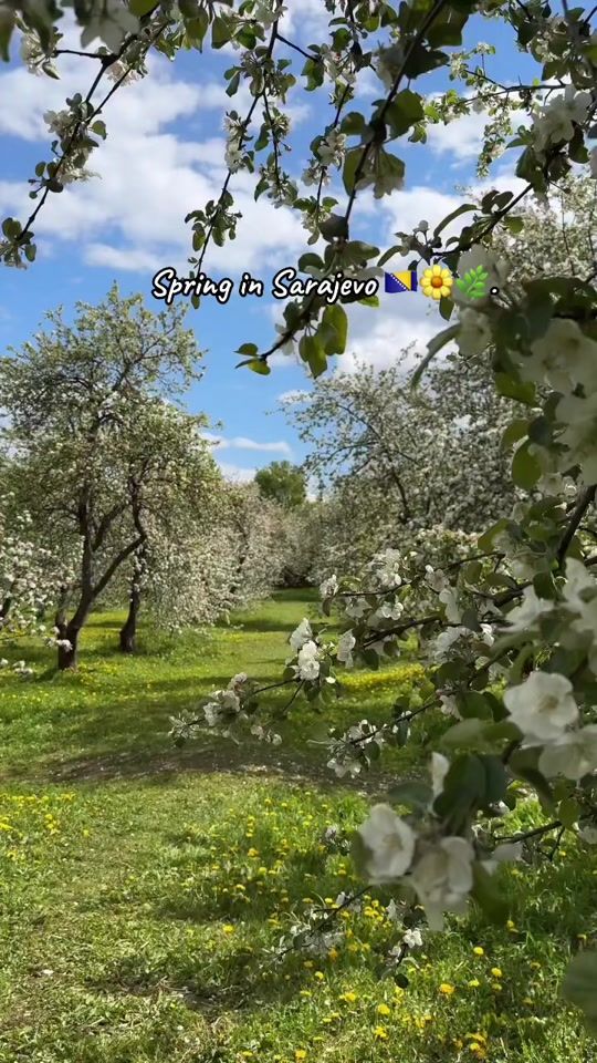 TikTok video thumbnail by hdizdar26