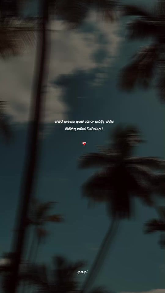 TikTok video thumbnail by popi_quotes