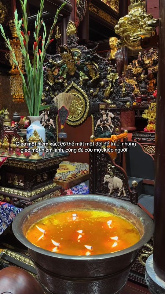TikTok video thumbnail by reviewdodichua