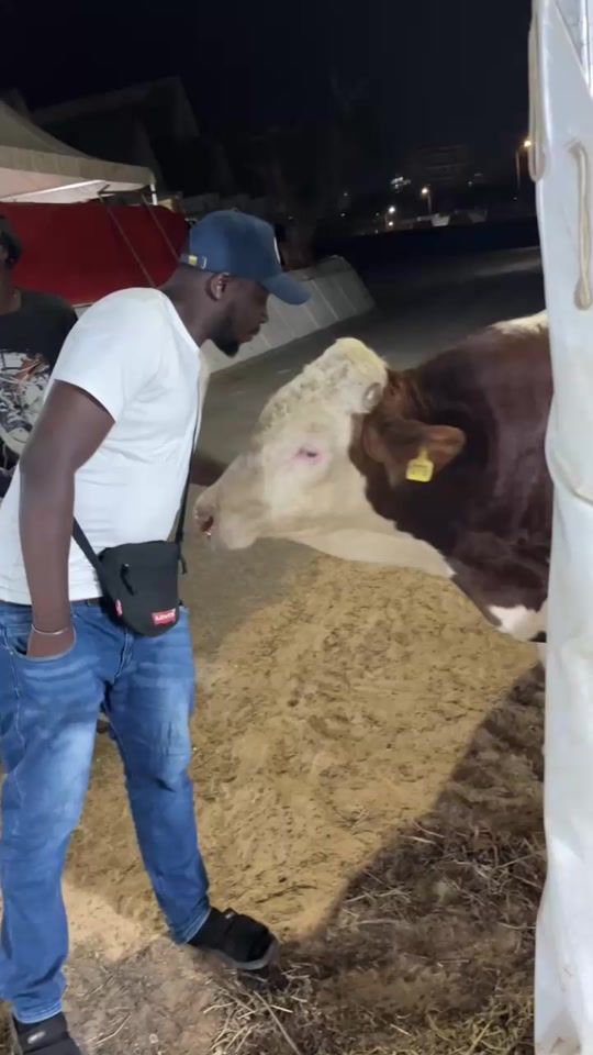 TikTok video thumbnail by mofarm_