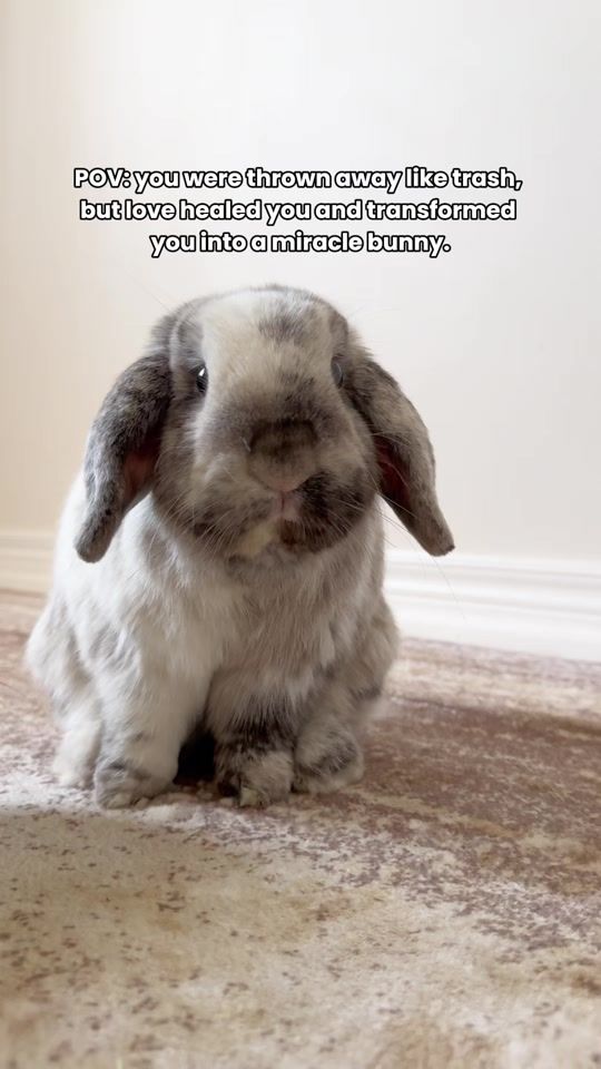 TikTok video thumbnail by blancobun