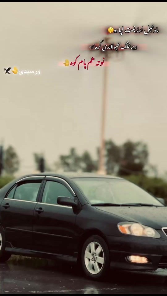 TikTok video thumbnail by shahhewad2
