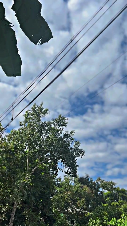 TikTok video thumbnail by eldercito153