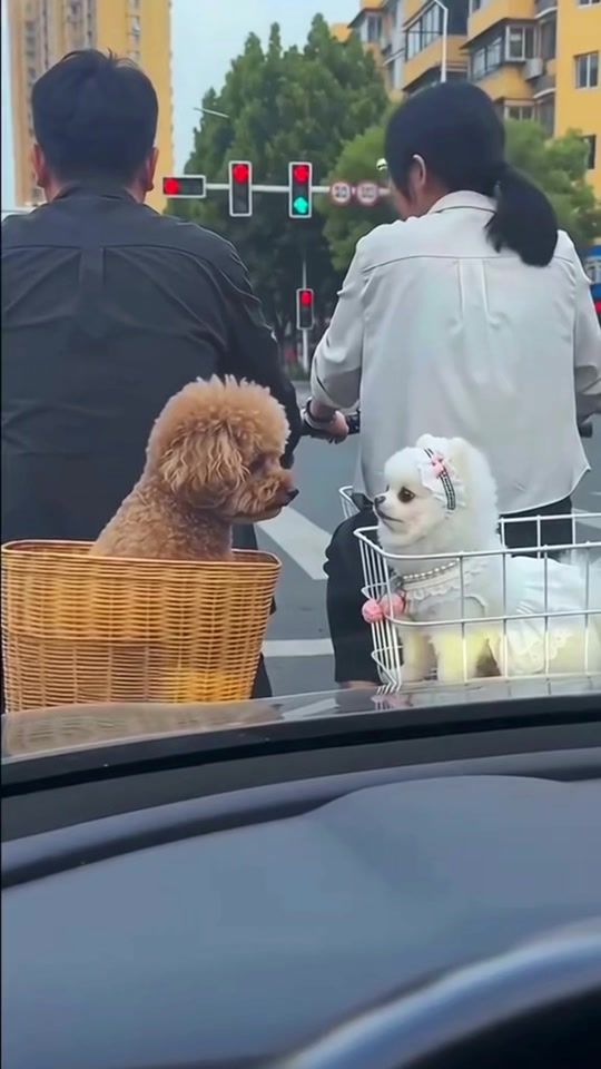 TikTok video thumbnail by hakimdao_224