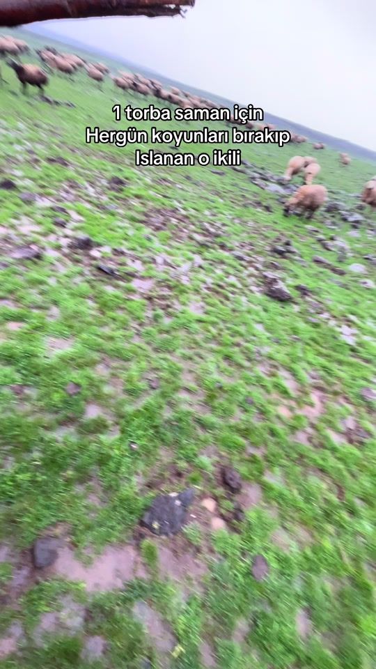 TikTok video thumbnail by hasan_dagli.82