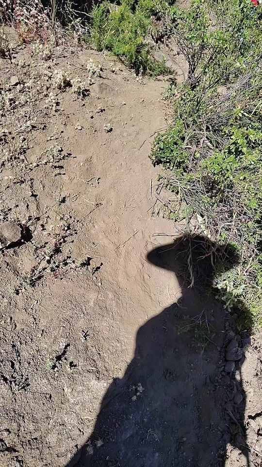 TikTok video thumbnail by __bro.kula__