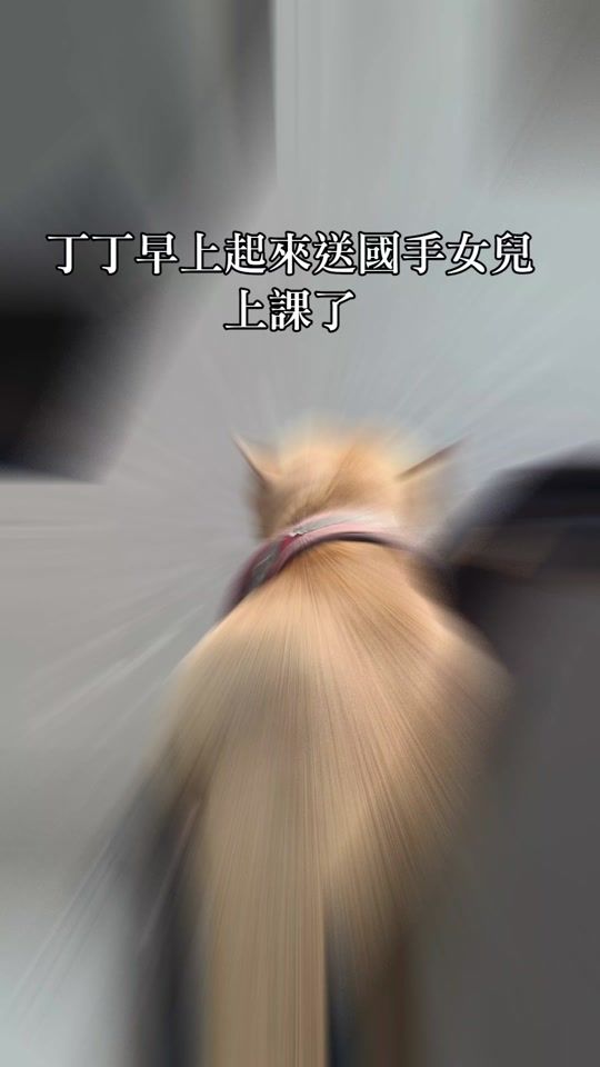 TikTok video thumbnail by 2.0461
