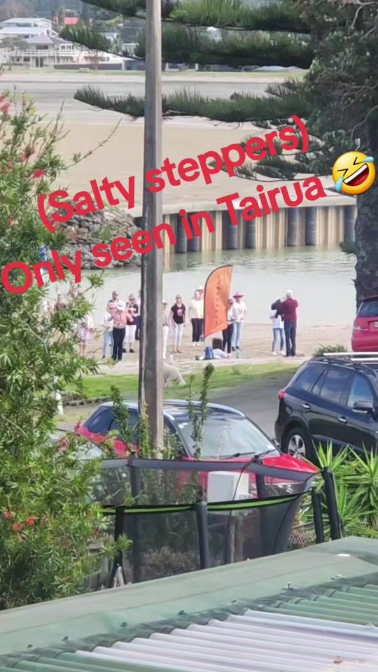 TikTok video thumbnail by katiedonaldson85