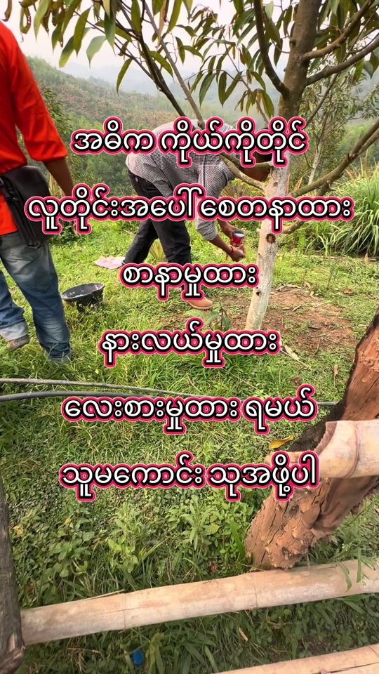 TikTok video thumbnail by thar.gyi.lay