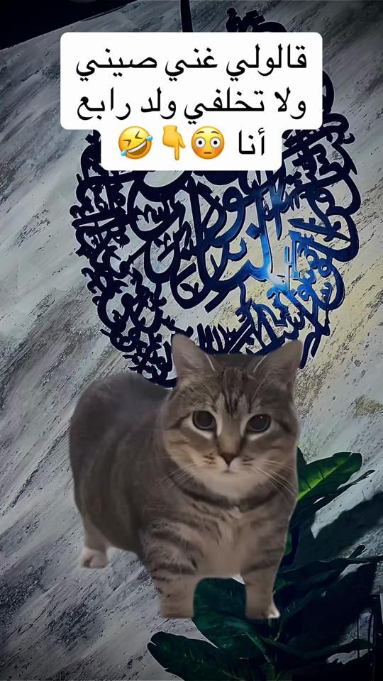 TikTok video thumbnail by ahlam..000