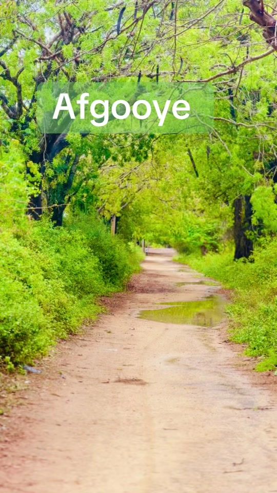 TikTok video thumbnail by afey365