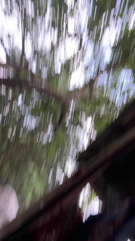 TikTok video thumbnail by mdtayjul52