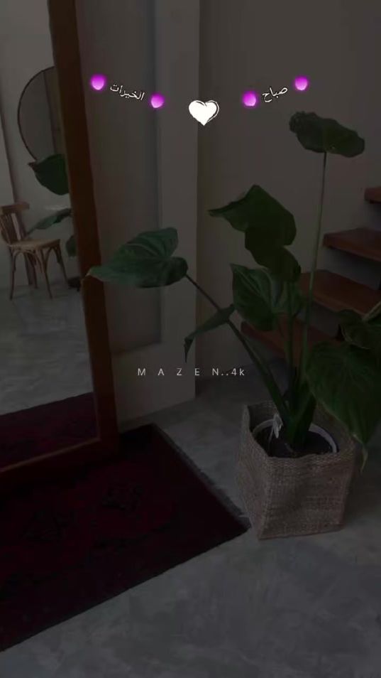 TikTok video thumbnail by .abo.mazen00