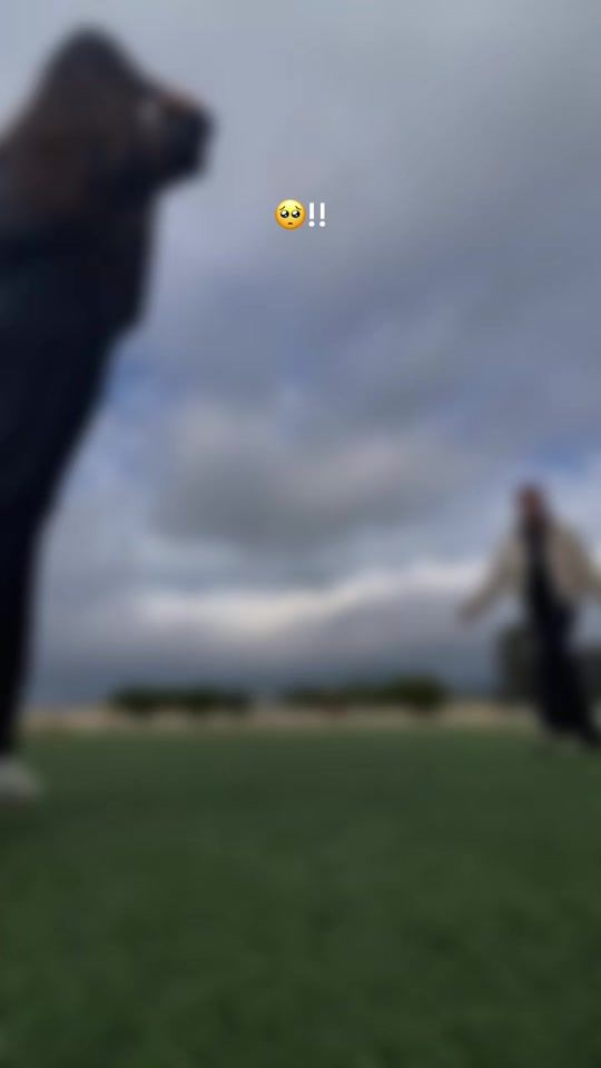 TikTok video thumbnail by ti_ma330