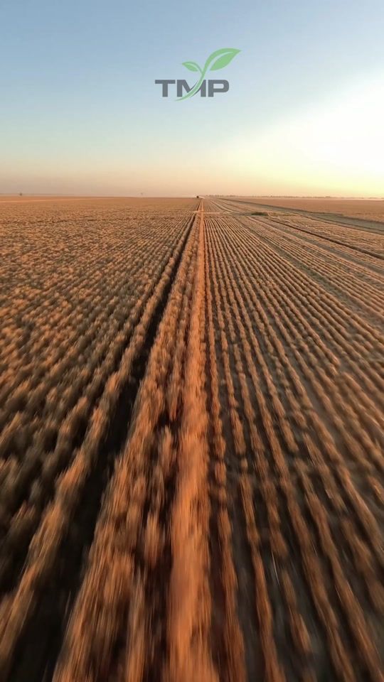 TikTok video thumbnail by _tmphoto