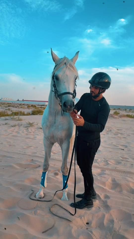 TikTok video thumbnail by mohamedbinbt