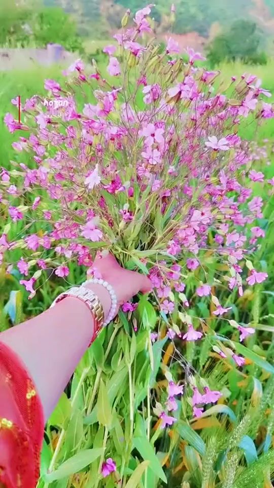 TikTok video thumbnail by bahar.0o0
