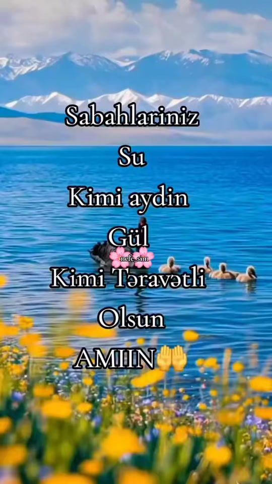 TikTok video thumbnail by _nefe_sim_