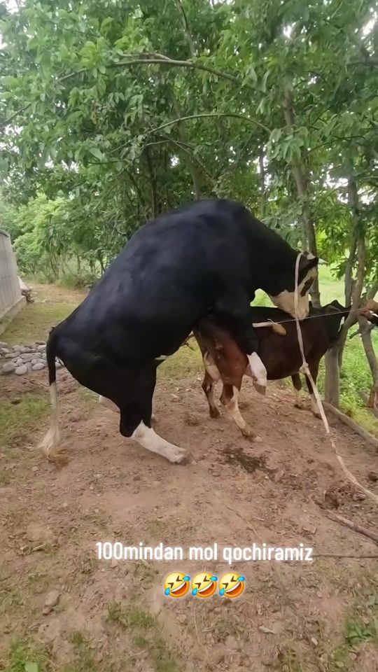 TikTok video thumbnail by jaxon__810