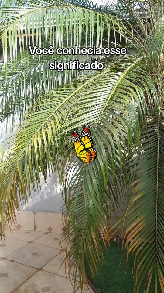 TikTok video thumbnail by dicas.do.dia.naturais