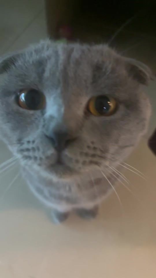 TikTok video thumbnail by ansar.0017