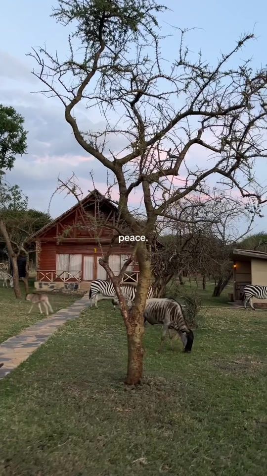 TikTok video thumbnail by __princess__039