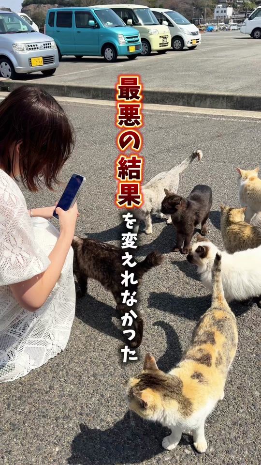 TikTok video thumbnail by hiroshima_tuko