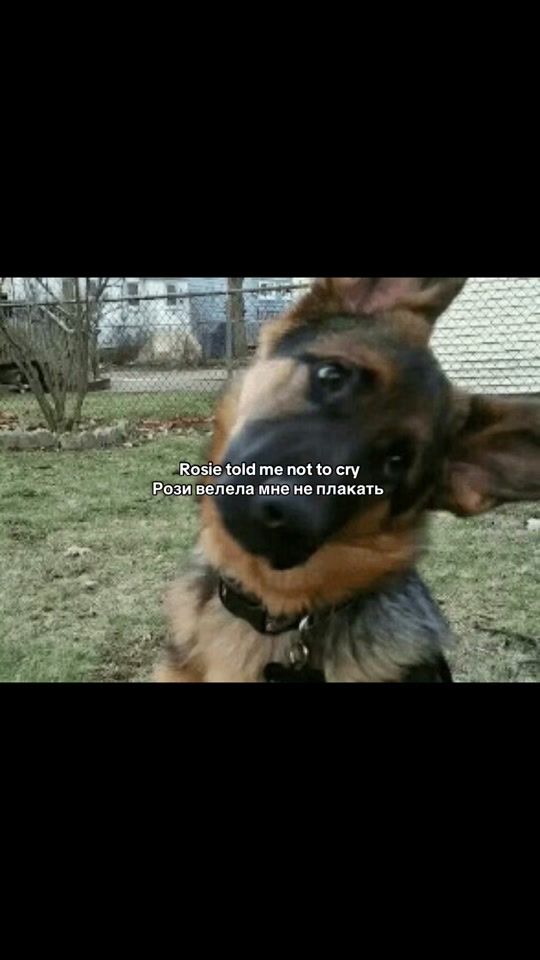 TikTok video thumbnail by marysekor