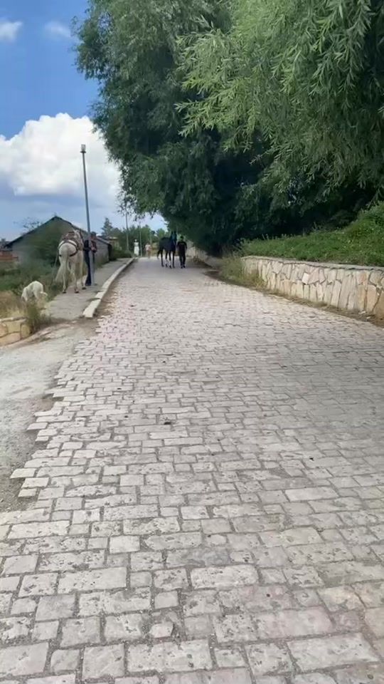 TikTok video thumbnail by b3qaj8